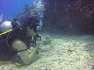 Hawaii Scuba divng 36