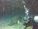 Hawaii Scuba divng 39