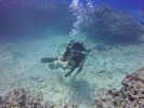 Hawaii Scuba divng 43