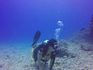 Hawaii Scuba divng 47