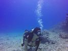 Hawaii Scuba divng 48