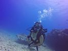 Hawaii Scuba divng 49