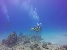 Hawaii Scuba divng 04