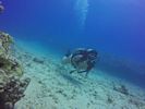 Hawaii Scuba divng 51