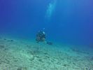 Hawaii Scuba divng 51