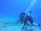 Hawaii Scuba divng 52