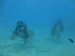 Hawaii Scuba divng 12