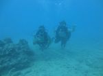 Hawaii Scuba divng 13