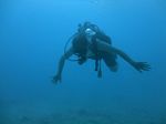 Hawaii Scuba divng 14