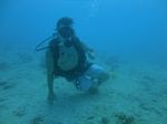 Hawaii Scuba divng 16