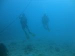 Hawaii Scuba divng 24