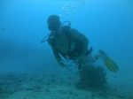 Hawaii Scuba divng 26