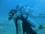 Hawaii Scuba divng 35