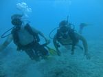 Hawaii Scuba divng 36