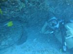 Hawaii Scuba divng 40