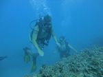 Hawaii Scuba divng 44