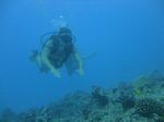 Hawaii Scuba divng 45