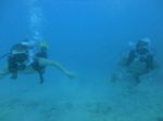 Hawaii Scuba divng 46