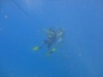 Hawaii Scuba divng 48