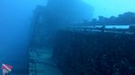 Waikiki Scuba 20