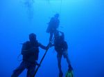 Hawaii Scuba divng 13