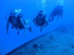 Hawaii Scuba divng 19