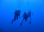 Hawaii Scuba divng 26