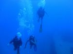 Hawaii Scuba divng 27