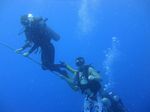 Hawaii Scuba divng 35