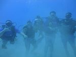 Hawaii Scuba divng 12