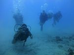 Hawaii Scuba divng 13