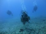 Hawaii Scuba divng 34