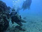 Hawaii Scuba divng 37