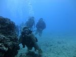 Hawaii Scuba divng 38