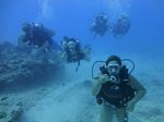 Hawaii Scuba divng 46