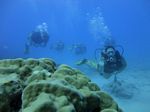 Hawaii Scuba divng 48