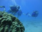 Hawaii Scuba divng 49