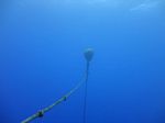 Hawaii Scuba divng 04