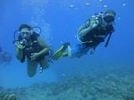 Hawaii Scuba divng 51