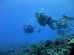 Hawaii Scuba divng 53