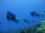 Hawaii Scuba divng 54