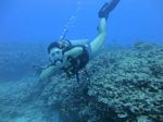 Hawaii Scuba divng 56