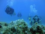 Hawaii Scuba divng 57