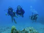 Hawaii Scuba divng 58