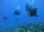 Hawaii Scuba divng 63