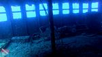 Oahu Scuba 28