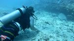 Oahu Scuba 54