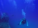 Hawaii Scuba divng 11