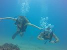 Hawaii Scuba divng 21