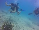 Hawaii Scuba divng 23